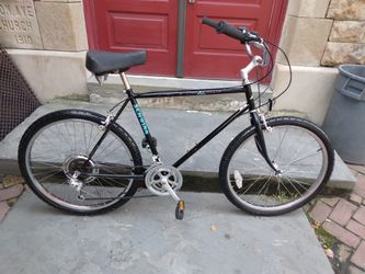 Schwinn Cruiser Bike