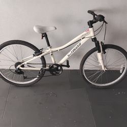 BICYCLE SPECIALIZED 7 SPEED SIZE 24 BRAND NEW 