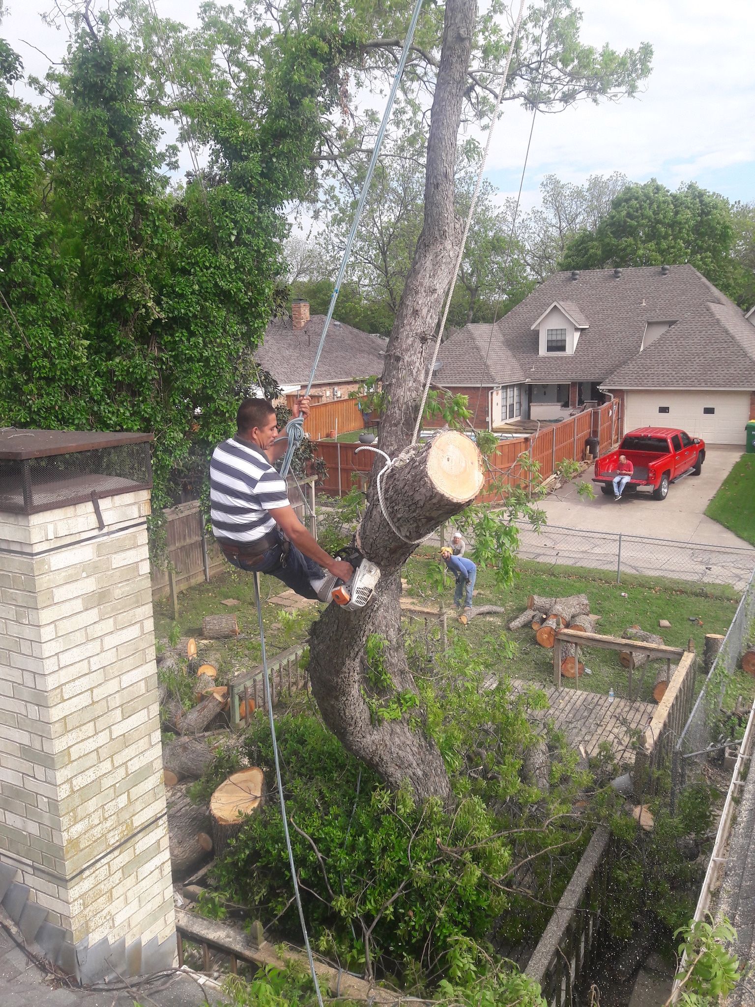 GOOD PRICES ON TREE π²