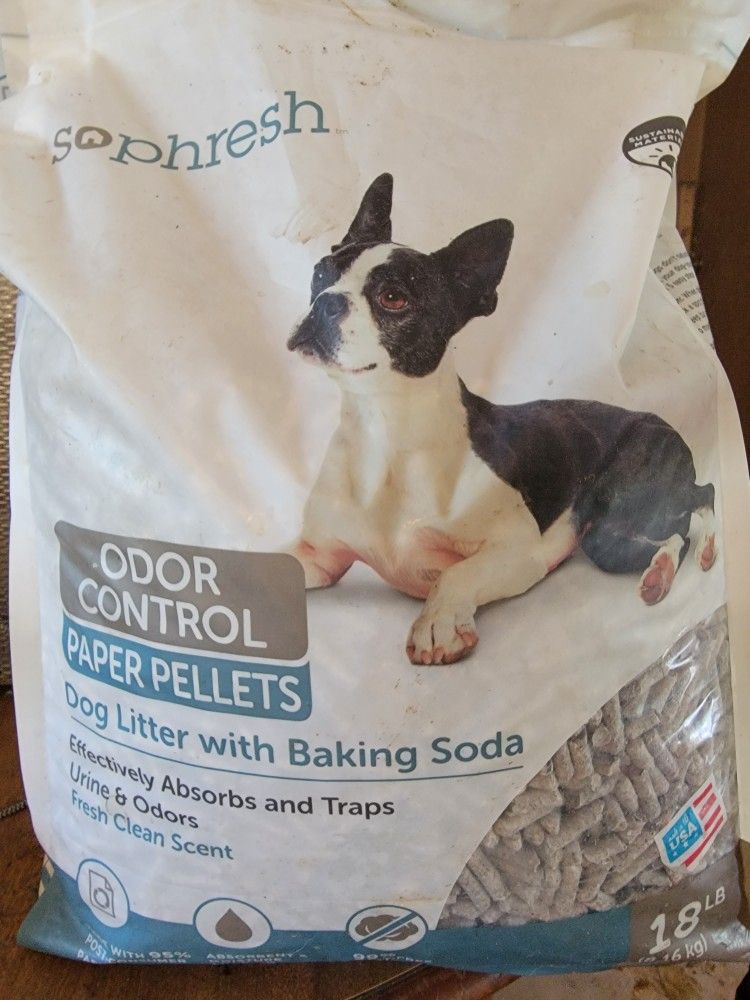 Dog Litter