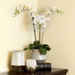 Life-like orchid