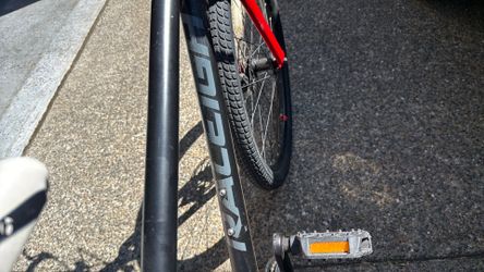 Raleigh bike