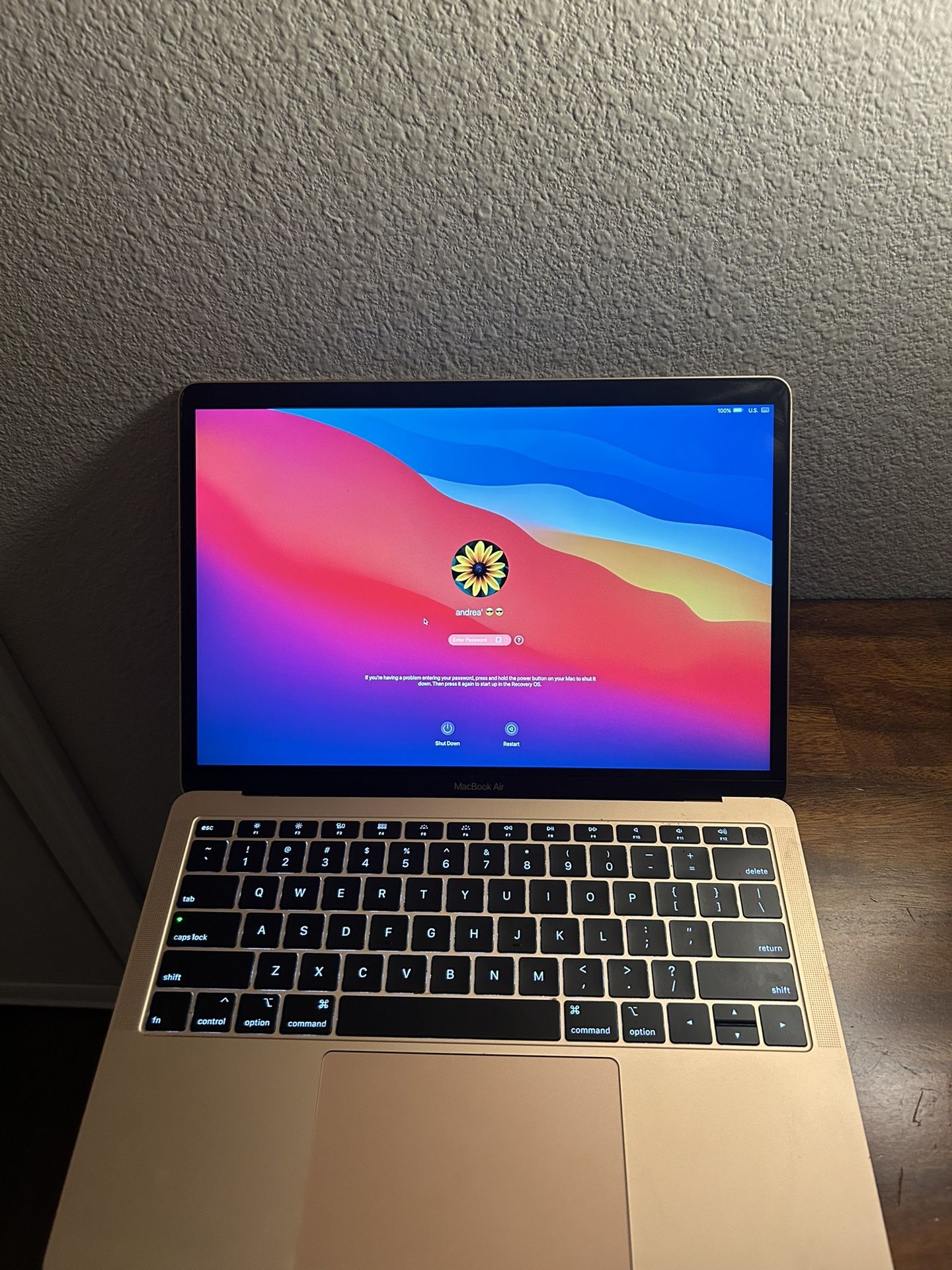 Mac Book Air 13 Inch - Rose Gold 2019