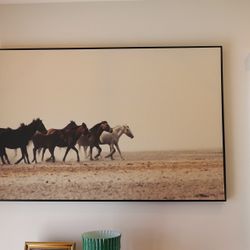 Horse Portrait Photography Art 🖼️ 