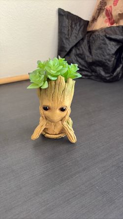 Groot
