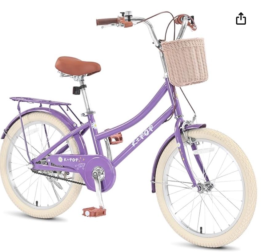 Brand New Girls 20 Inch Bike In Box