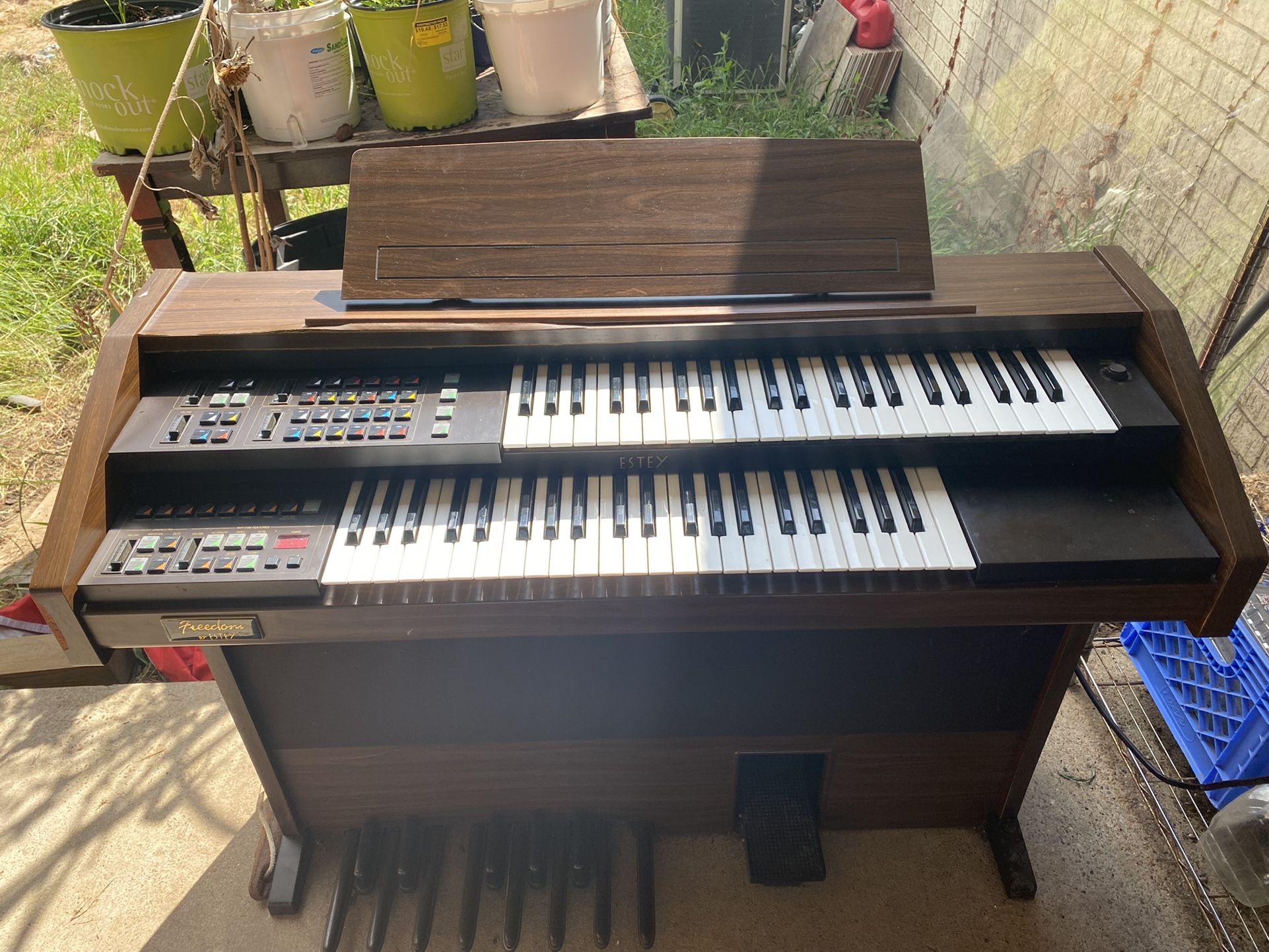 Estey Freedom ii (double-organ)