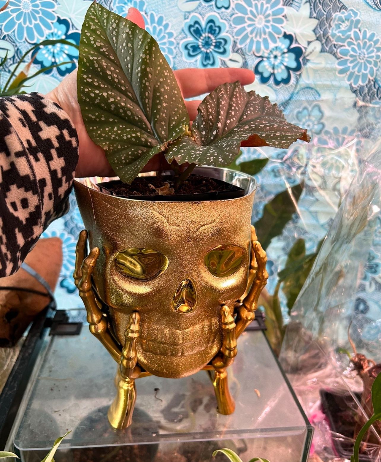 Skull Planters! Plant Pot Gold . 7”X5” Made Of Resin plant, not included