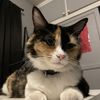 Esme