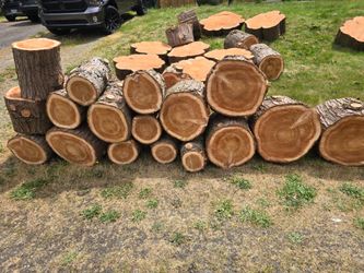 Free cedar wood rounds