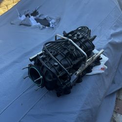 Tbss Intake Read Description 