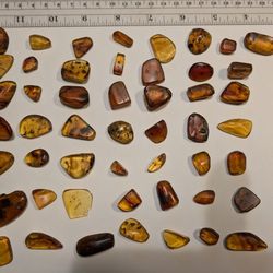 Amber With Insects Inside!