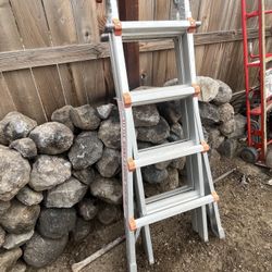 Little Giant Ladder type 1A