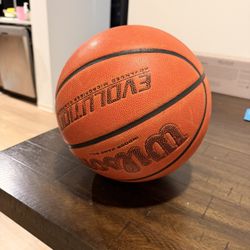29.5” Wilson Evolution Basketball