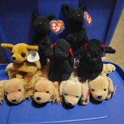 Beanie Baby Dogs