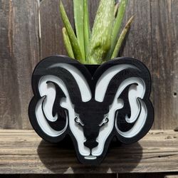 Personalized Planters