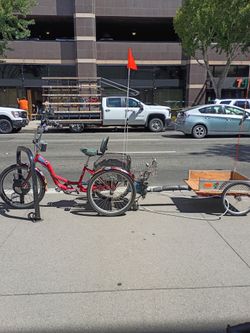 Adult tricycle
