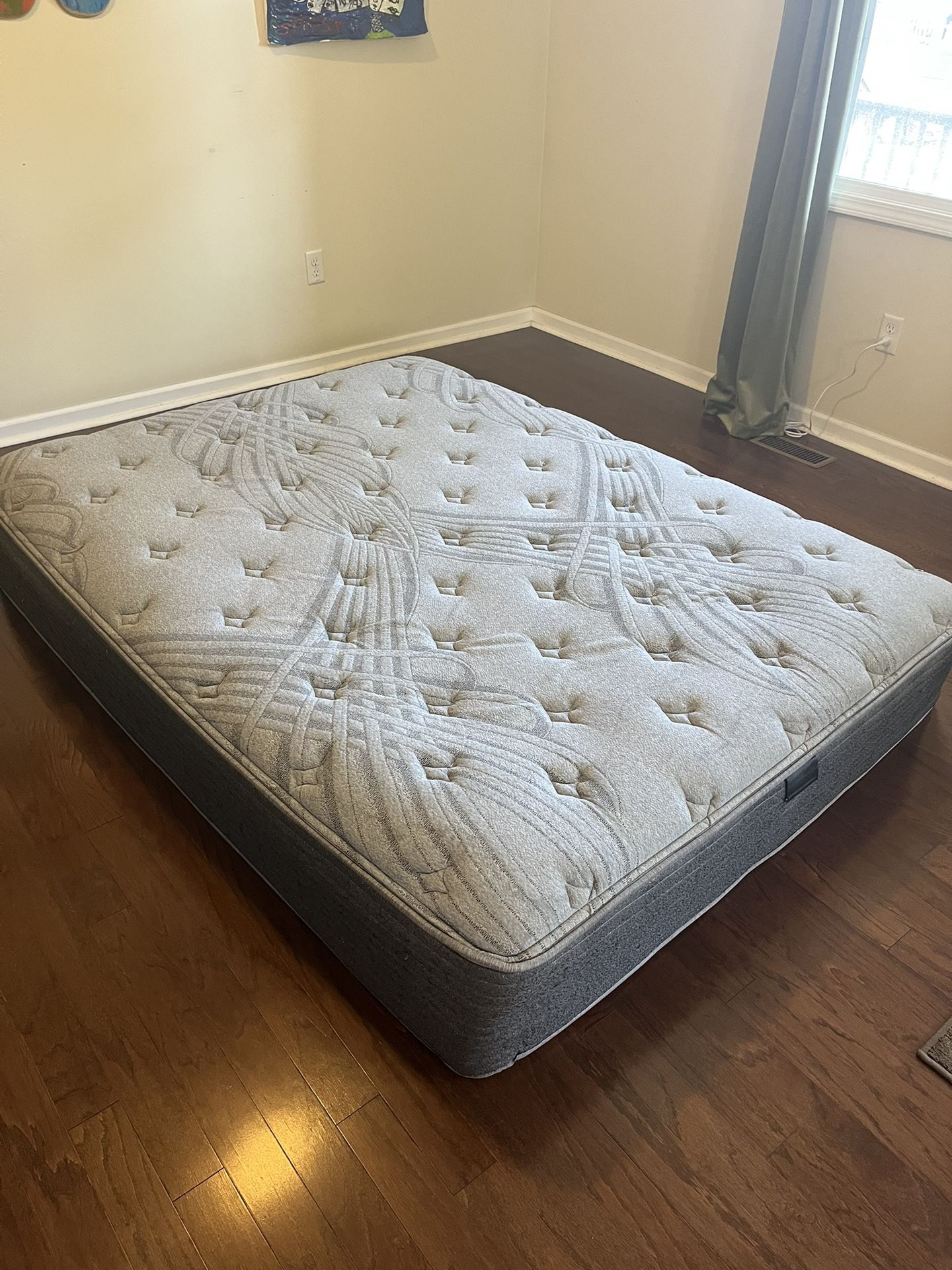 Detroit Mattress Co. Queen Size Bed CLEAN