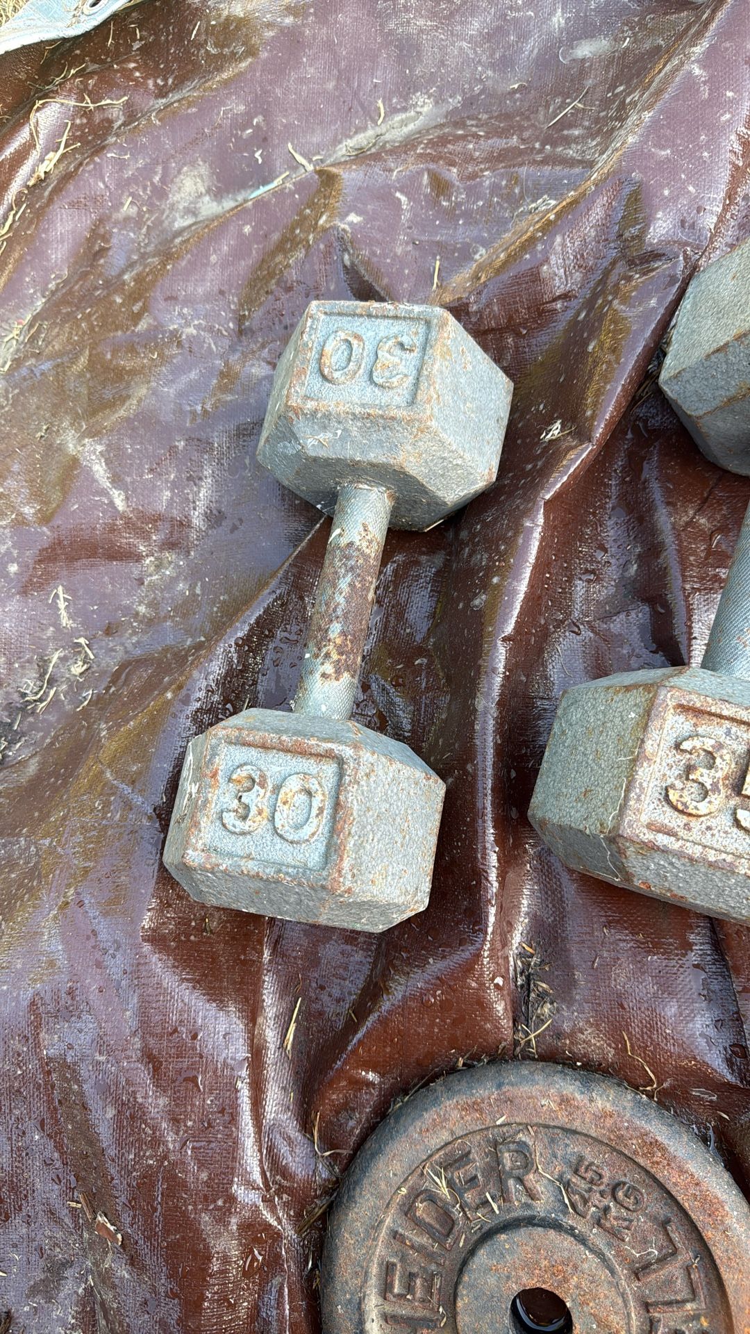 30 Lbs Dumbbell