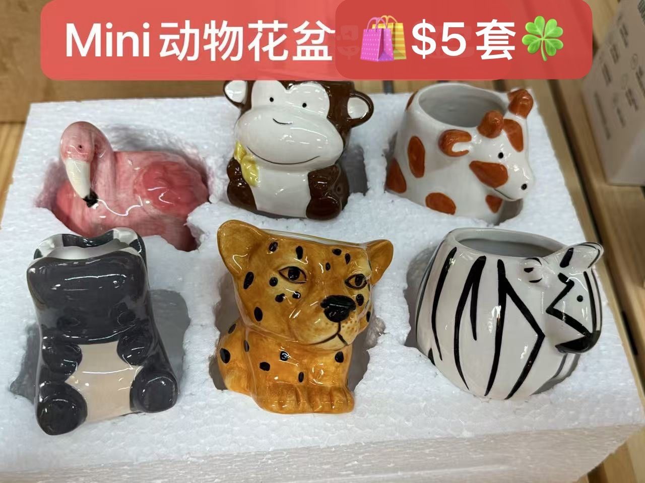 Melphoe 6Pcs Air Plant Holders Cartoon Shaped Small Succulent Pot Animal Planter Small Ceramic Pot Drainage for Mini Plant Cactus Flower, Tillandsia A