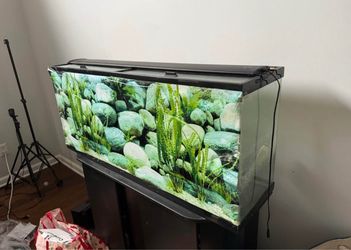 55 Gal Glass Fish Tank with Black Hood and Stand