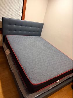 Brand New Queen Size Bed (frame, mattress, box)