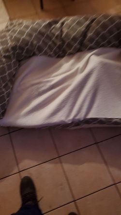 Dog bed XL