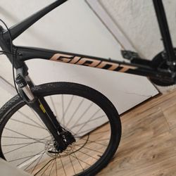 Giant Roam Bicycle 