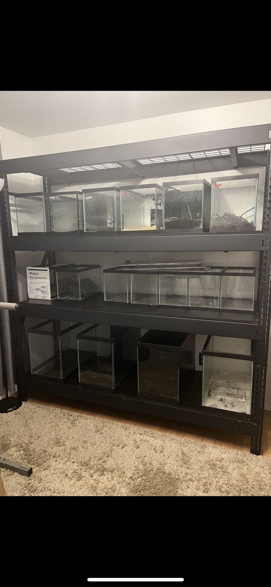 Glass Aquarium Fish tanks