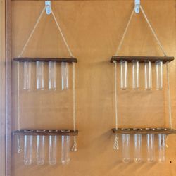 Hanging Plant Propagation