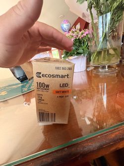Eco smart 100w 3pk
