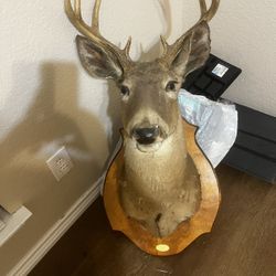 Stuffed Deer Head Plaque