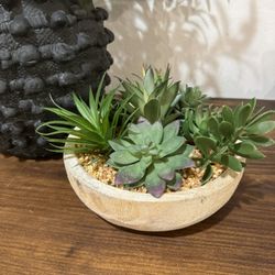 Beautiful Succulent Arrangement In bowl