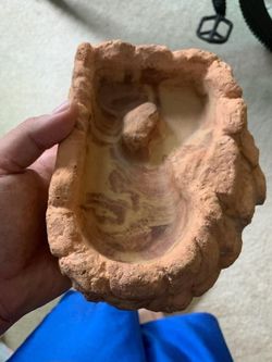 Reptile Water Dish