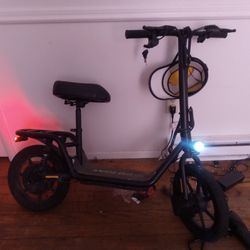 Electric Scooter (Portable, Adult)