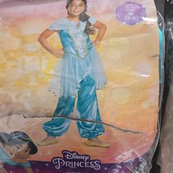 Princess Jasmine Costume 