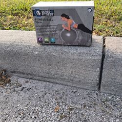 Fitness Ball