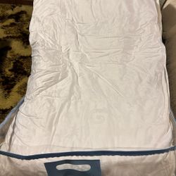 F/Q  Comforter 