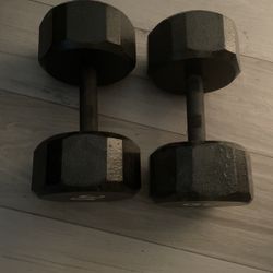 30 LB weights