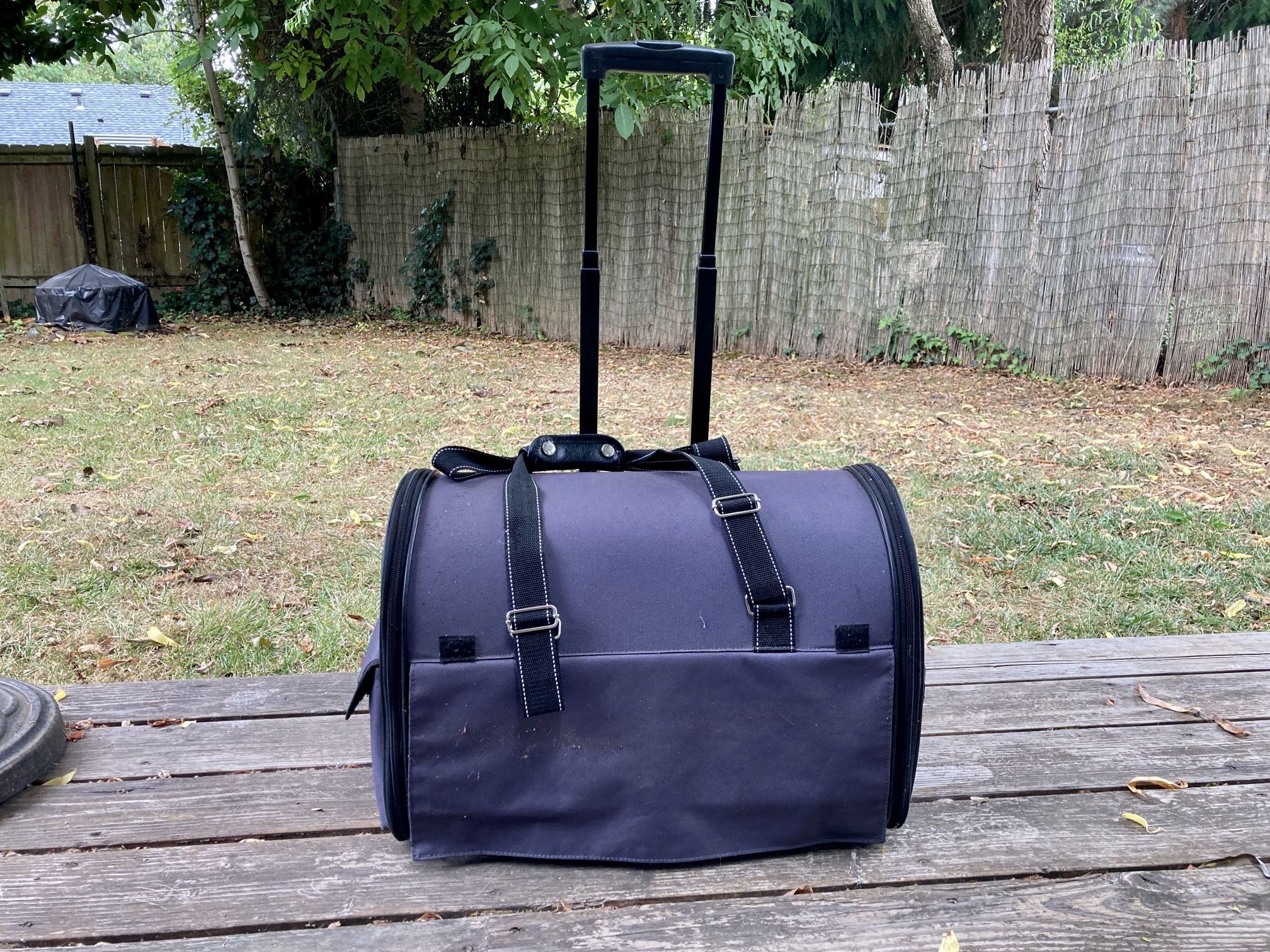 Pet Carrier (cat/small Dog)