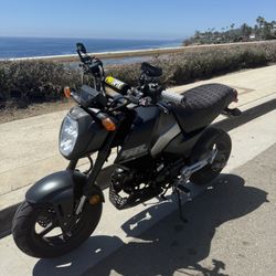 2025 Grom Honda
