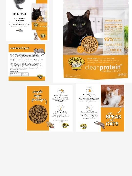 Cat Food Dr Elseys Clean Protein Grain Free Turkey Flavor 6 Lbs Bag
