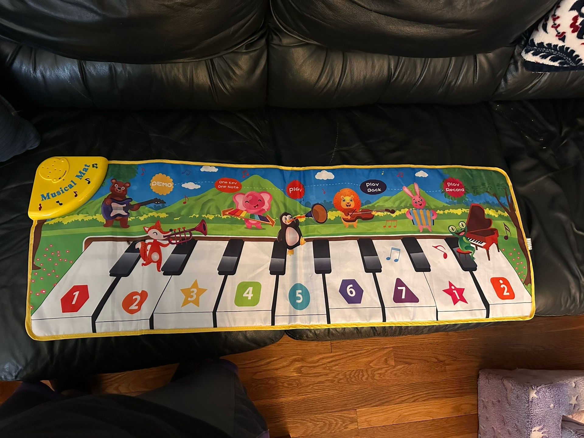 Musical Mat