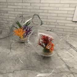Fish Shaped Glass Fish Bowls