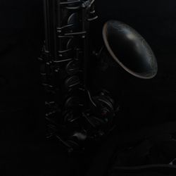 Black Alto Saxophone 