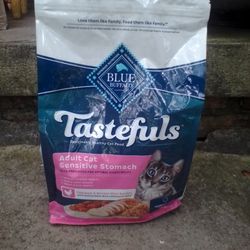 Dry Cat Food 