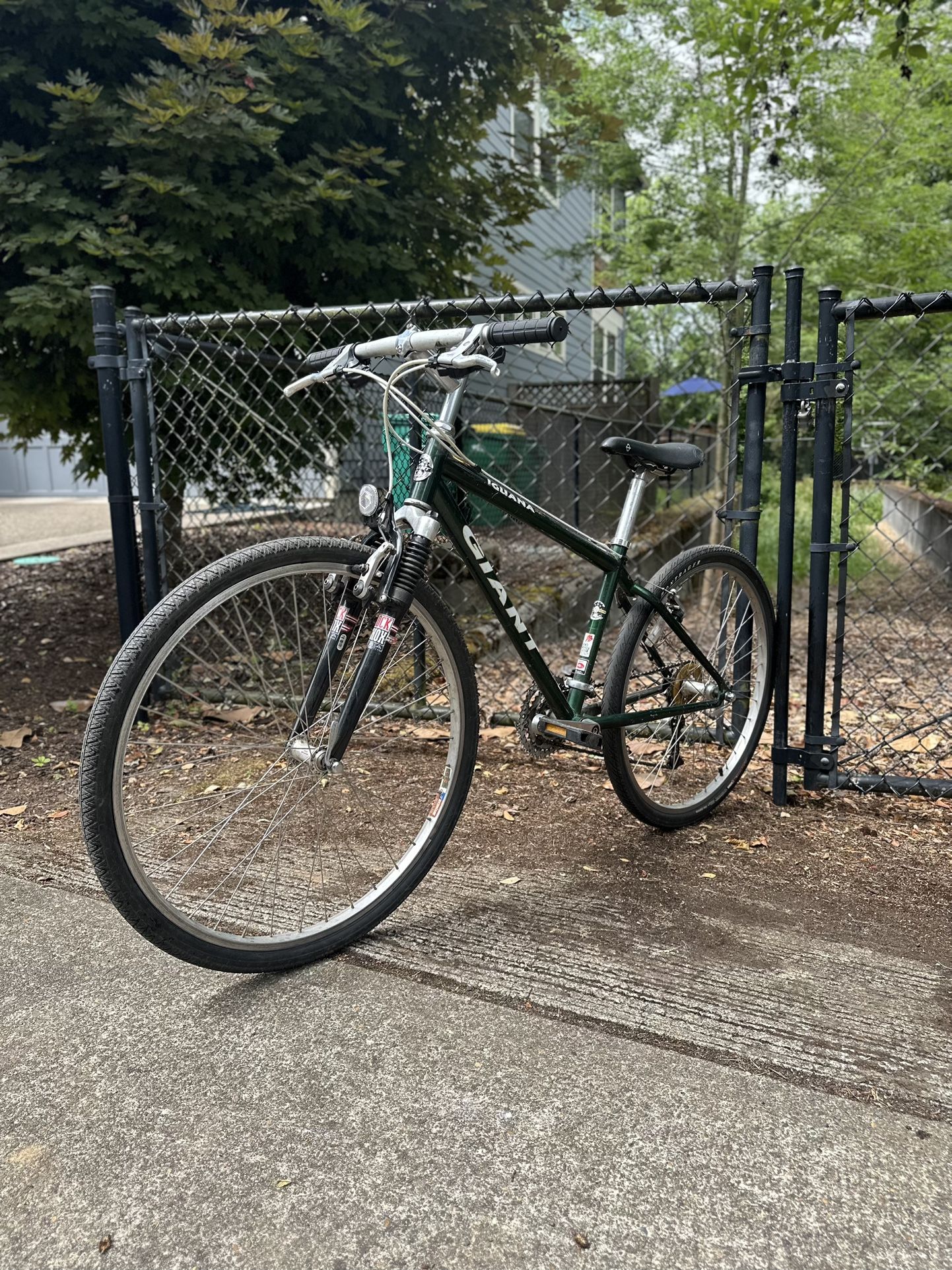 Giant Mountain Bike