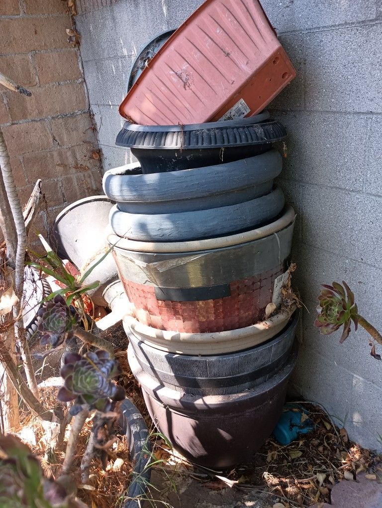 Large Flower Pots