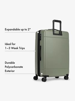 Large Hard-Shell Spinner Luggage Sage Green
