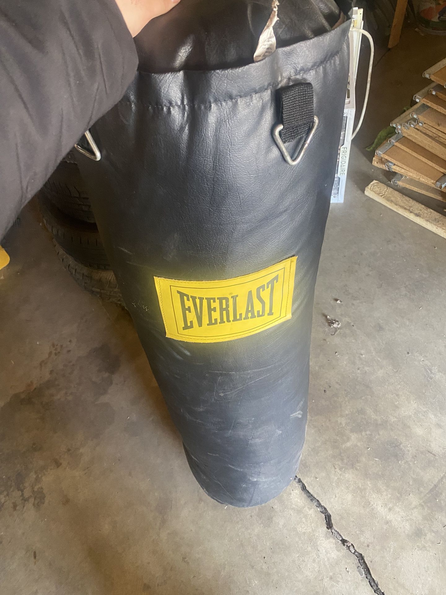 Everlast Punching Bag